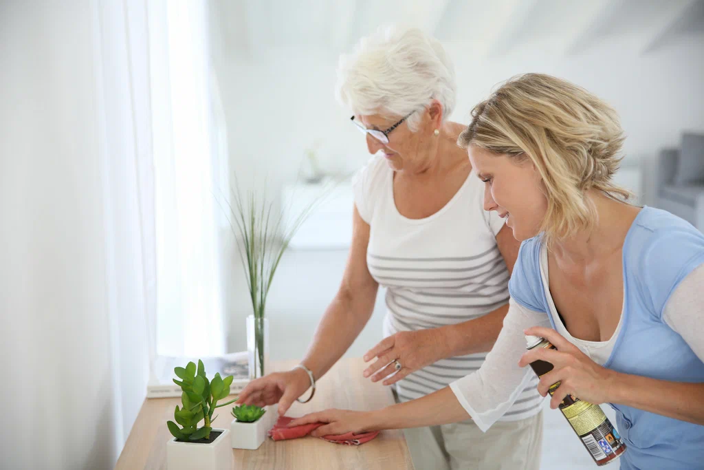 companion care services